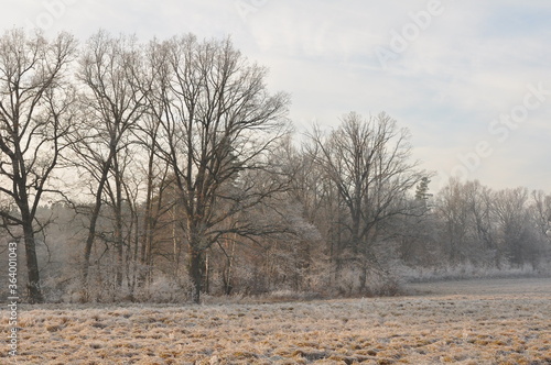Wallpaper Mural Polska - Mazury - Warmia. Krajobraz. Torontodigital.ca