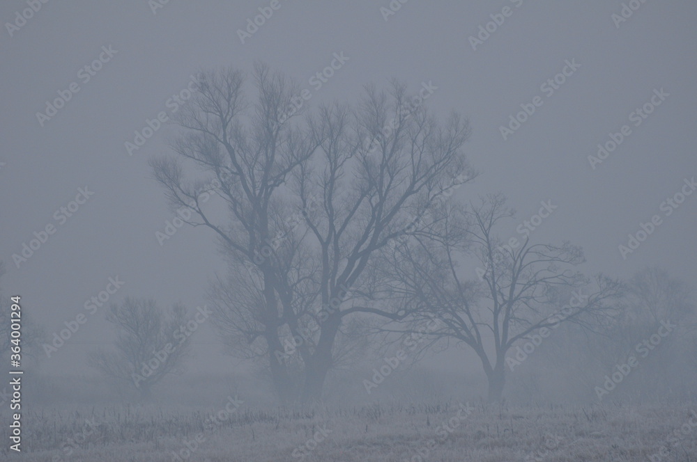 Polska - Mazury - Warmia. Zima. Panorama. Polska - Mazury - Warmia. Zima. Panorama.