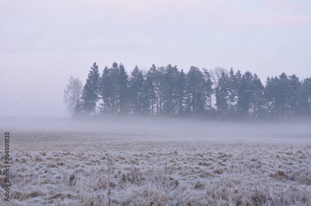 Obraz premium Polska - Mazury - Warmia. Krajobraz.