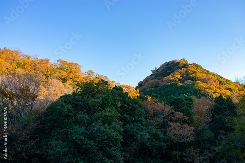 山の紅葉