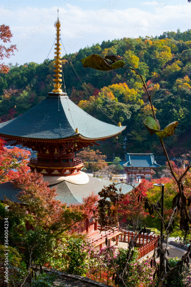 紅葉の勝尾寺