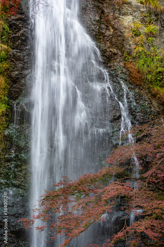 箕面の滝