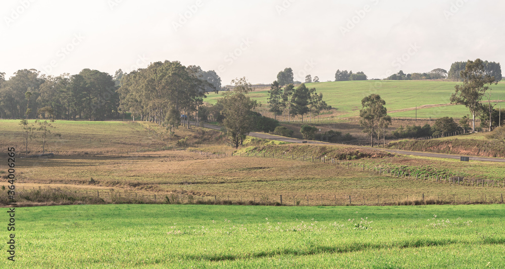 Obraz premium Dawn landscape in the fields of the pampas region of the State of Rio Grande do Sul in southern Brazil