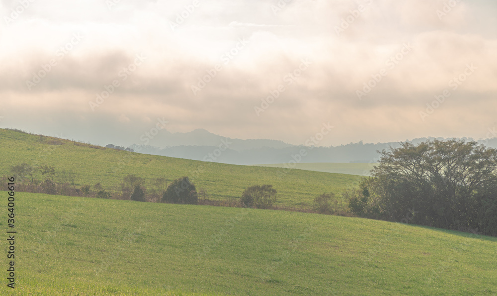 Dawn landscape in the fields of the pampas region of the State of Rio Grande do Sul in southern Brazil Dawn landscape in the fields of the pampas region of the State of Rio Grande do Sul in southern Brazil