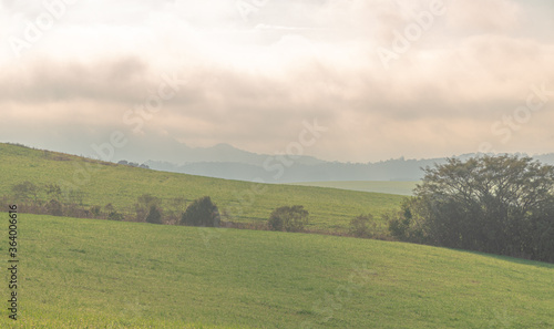 Dawn landscape in the fields of the pampas region of the State of Rio Grande do Sul in southern Brazil