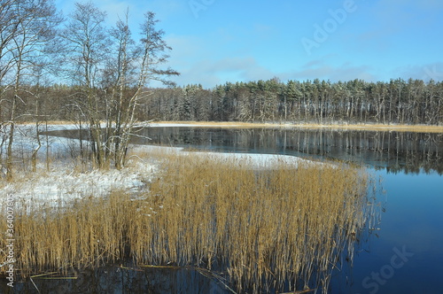 Krajobraz. Zima. Okolice Mrągowa. Polska - Mazury