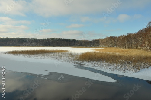 Zima. Zamar  ni  te jezioro. Trzciny. Polska - Mazury - Warmia.