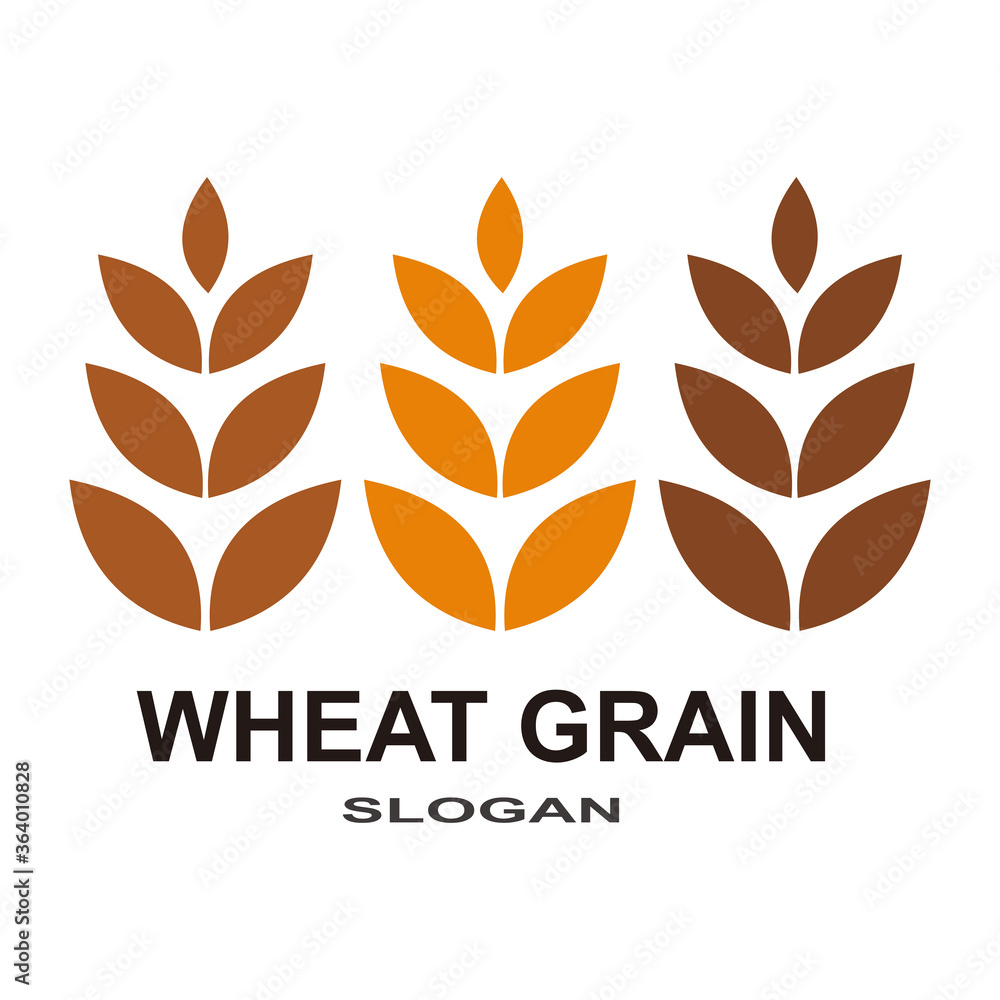 Grain wheat Logo Template vector icon design Grain wheat Logo Template vector icon design