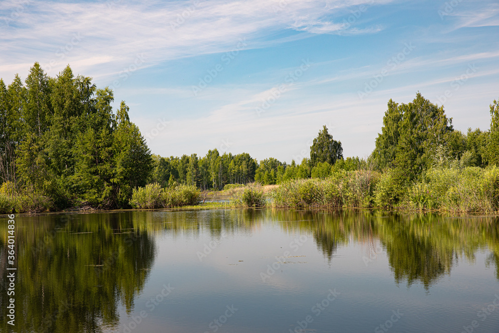 A picturesque lake on a Sunny summer day, the banks are covered with forest and shrubs.