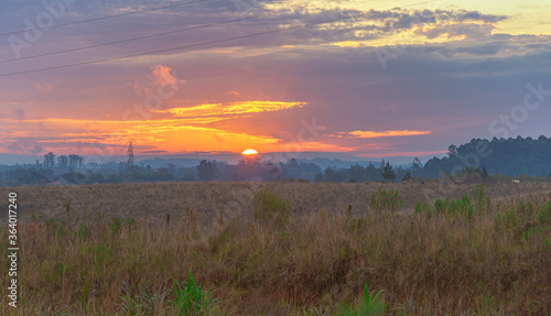 Sunset in the fields of the Latin American Pampa Biome
