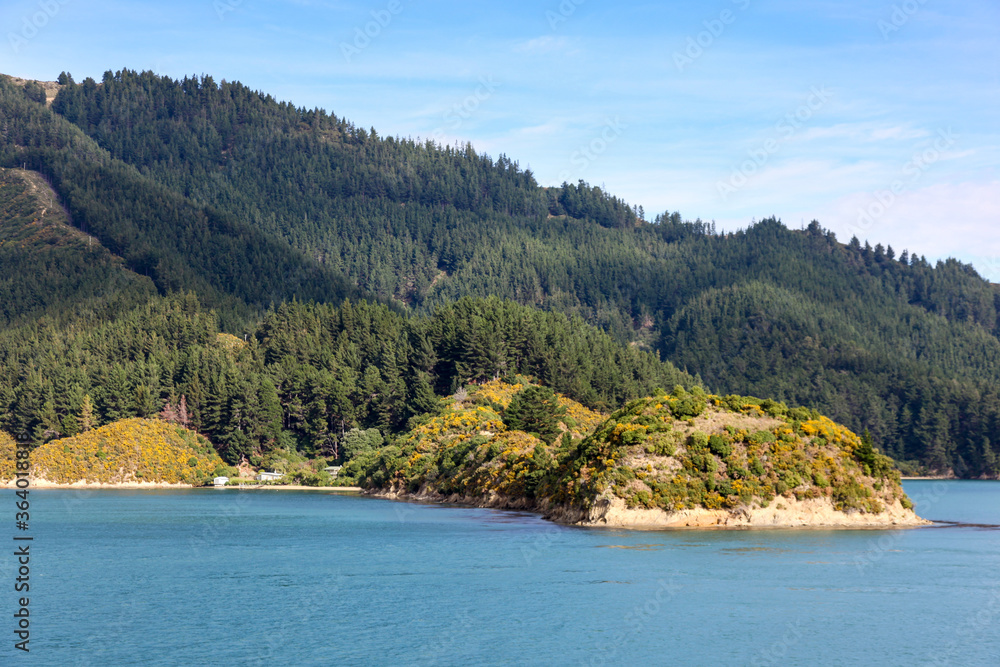 Coastline Marlborough Sounds - Picton New Zealand South Island Coastline Marlborough Sounds - Picton New Zealand South Island