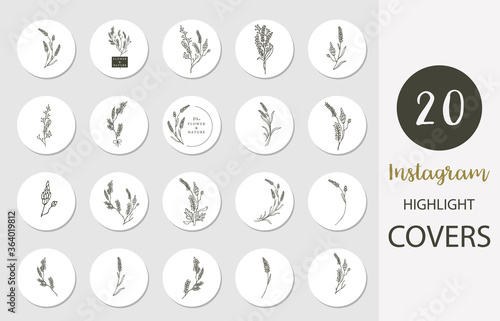 Icon of instagram highlight cover with lavender,flower,leaf in boho style for social media