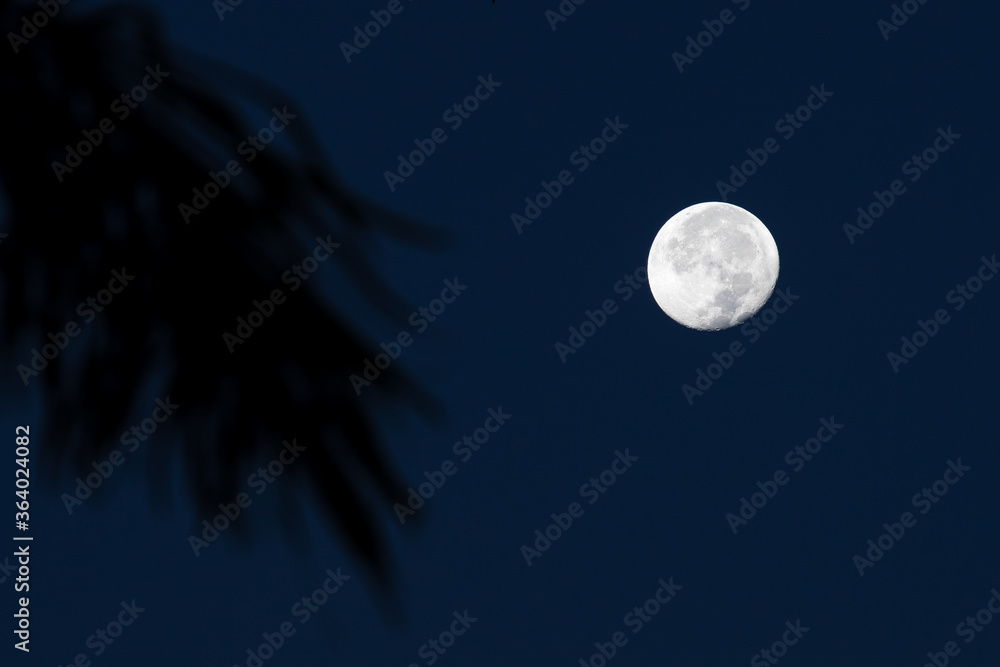Fototapeta premium The moon over sea