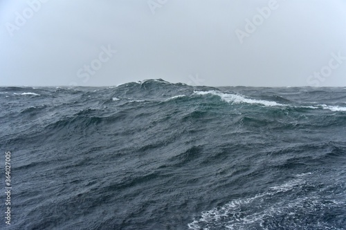 High waves on the high seas. Inside a typhoon in the Pacific Ocean. The hard work of sailors. © German