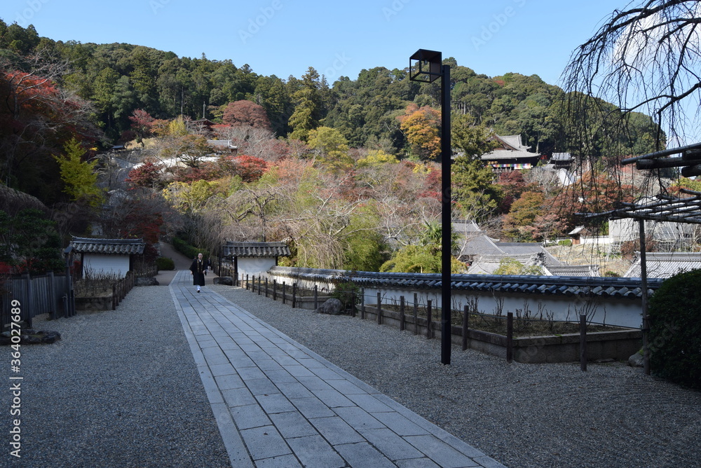 長谷寺石畳