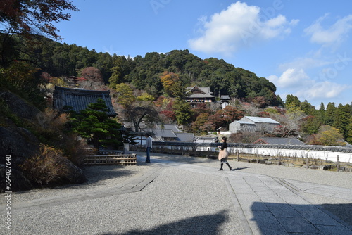 Wallpaper Mural 長谷寺石畳 Torontodigital.ca