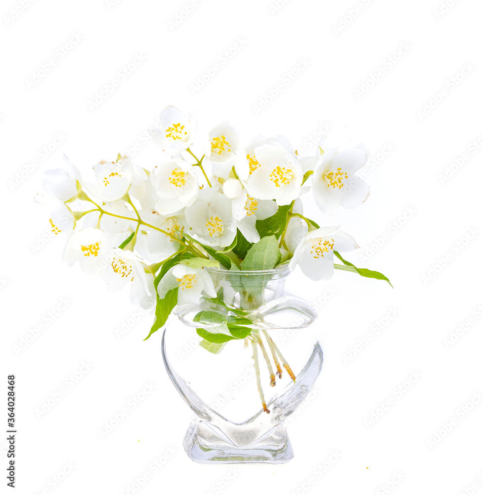 Small glass vase with white flowers. Photo