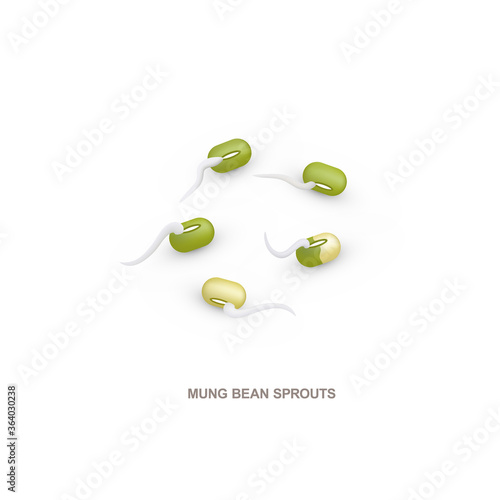 Realistic green mung beans sprouts for healthy eating. Vector illustration isolated on white background.