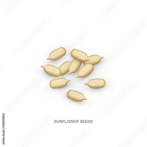 Realistic sunflower seeds for healthy eating. Vector illustration isolated on white background.