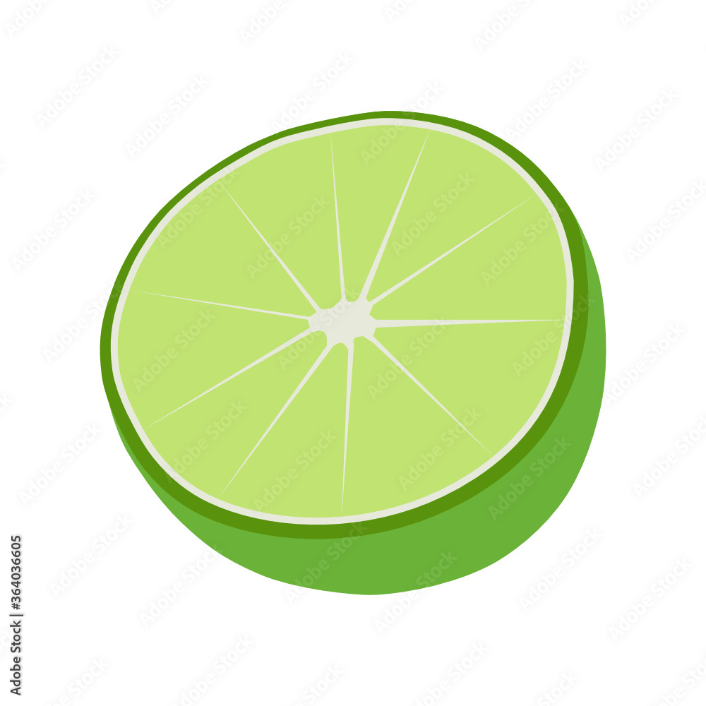 Vector lime slice green illustration lemon isolated half fruit lime. Fresh green Vector lime slice green illustration lemon isolated half fruit lime. Fresh green