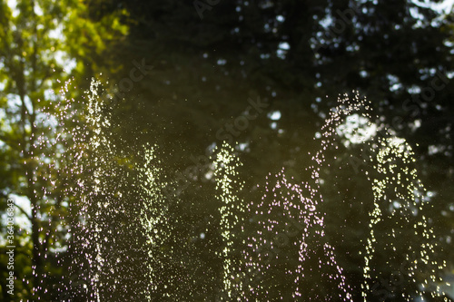 fountain splashes in the park © alignedd