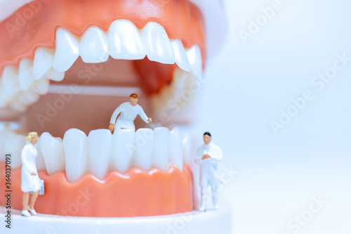 Miniature people : Dentist observing and discussing about human teeth with gums photo