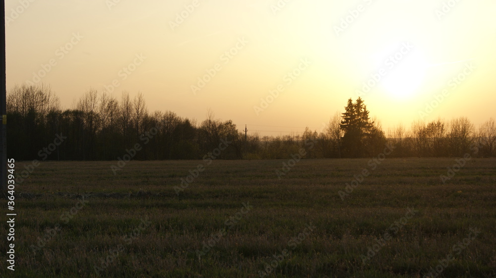 Fototapeta premium without photoshop..