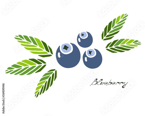 Stylish icon logo with blueberry. Blue berries and green leaves with lettering. Bright simple flat vector illustration.
