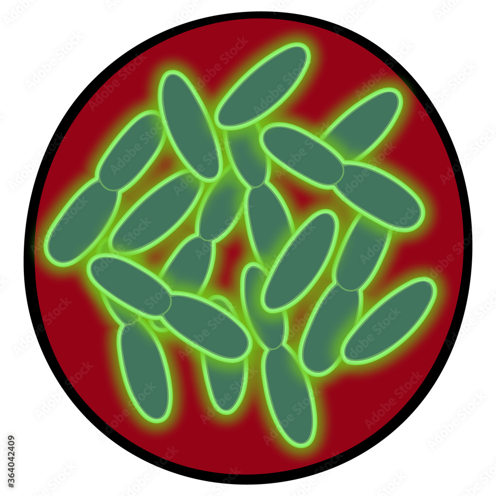 Acute infectious disease. Vector illustration. Outline on an isolated red background. Plague wand. Bubonic plague. Bacterium under fluorescence microscopy. Science and medicine. Black pestilence. Acute infectious disease. Vector illustration. Outline on an isolated red background. Plague wand. Bubonic plague. Bacterium under fluorescence microscopy. Science and medicine. Black pestilence.