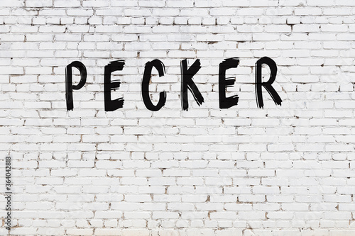 Inscription pecker painted on white brick wall photo