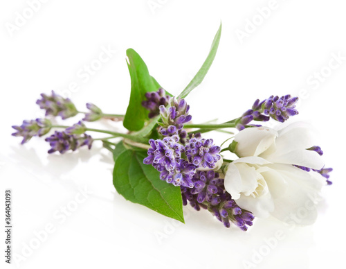 Lavender and jasmine flowers isolated on a white background.