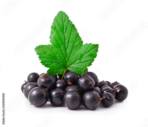 Fresh black currant isolated on a white background.