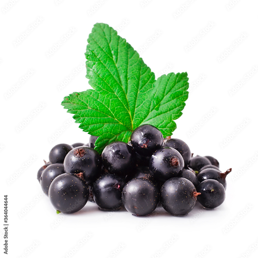 Fresh black currant isolated on a white background. Fresh black currant isolated on a white background.