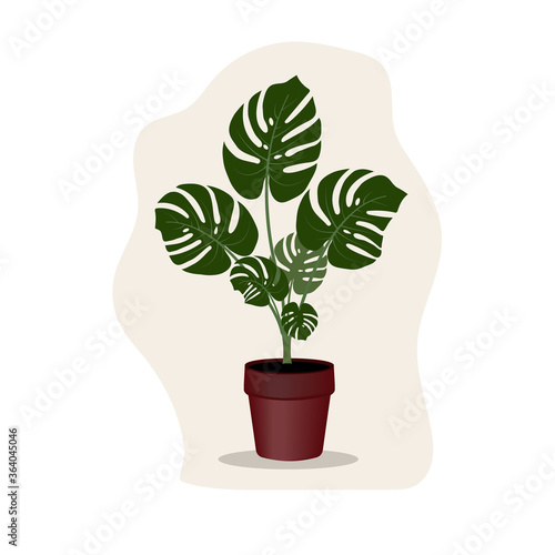 tropical flower in a monstera flower pot  isolated color vector illustration in flat style  design  decoration