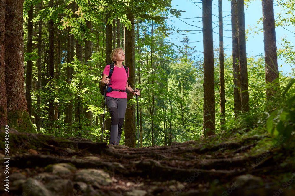A woman enjoys walking in the woods. Trekking, Slovenia, Alps. A woman enjoys walking in the woods. Trekking, Slovenia, Alps.