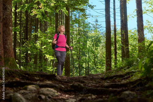 A woman enjoys walking in the woods. Trekking, Slovenia, Alps. © Branko