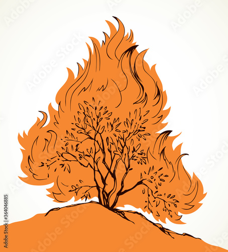 Burning bush. Vector drawing icon
