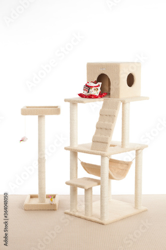 cat tree with velvet  photo