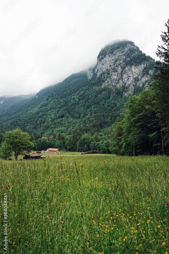 Berge | Alpen