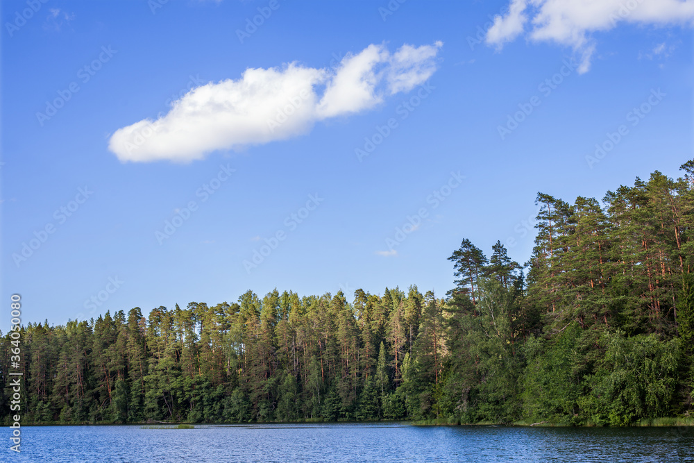 a forest lake on a sunny summer day, Estonia