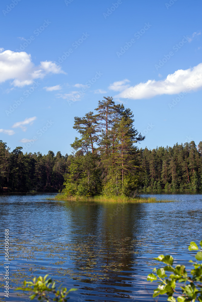 Obraz premium Island on a forest lake on a sunny summer day, Estonia