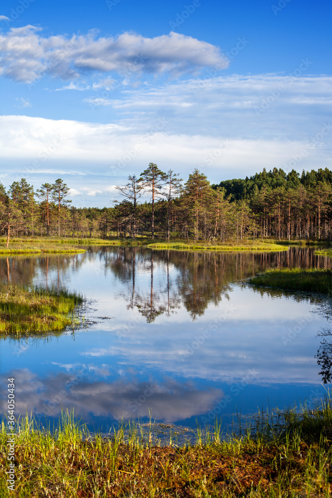 A summer landscape with a forest lake, Estonia