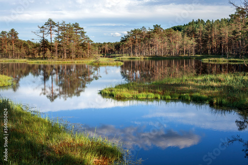 summer landscape with cloud reflection in a forest lake, Estonia