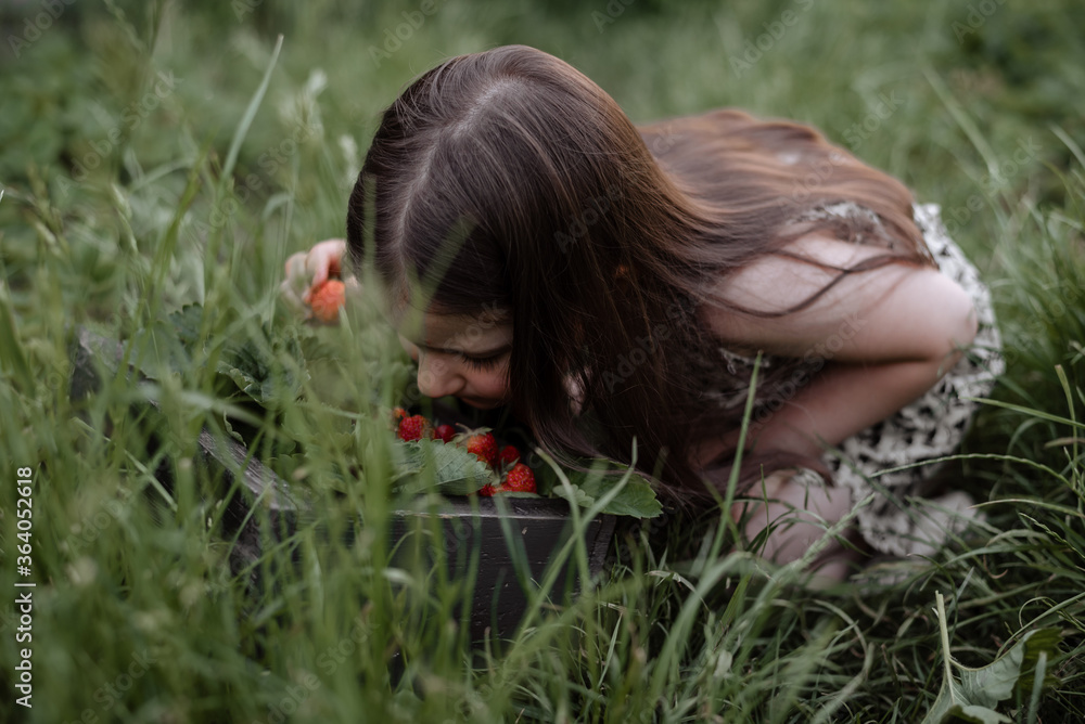 Girl 5 years old collects strawberries in the garden. Little girl in summer overalls in the garden with strawberries Girl 5 years old collects strawberries in the garden. Little girl in summer overalls in the garden with strawberries