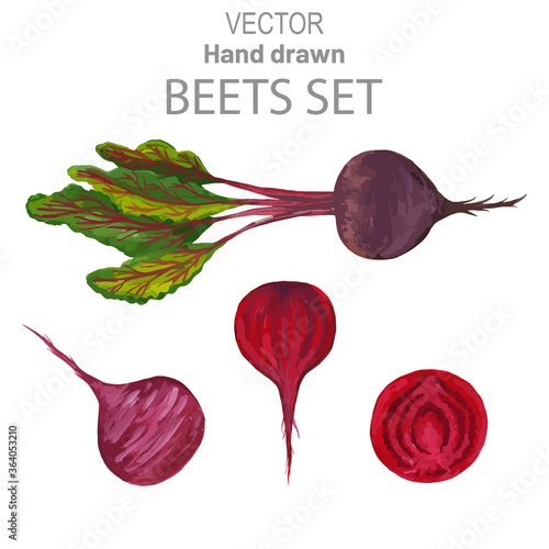 Vector set of whole beets with leaves and parts of beets on a white background
