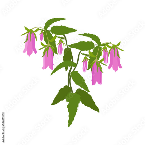 Delicate pink bell on a white isolated background. For decorating postcards, invitations, web design.