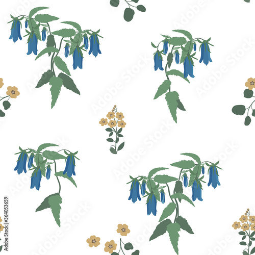 Field bells on a white, seamless background. Vector illustration.