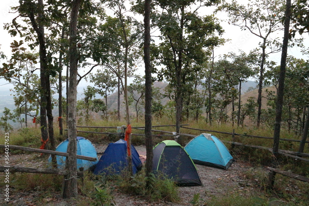Camping site with tents in tropical forest Phitsanulok Thailand.