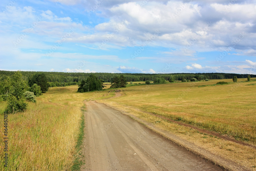 Fototapeta premium Country road in a wheat field