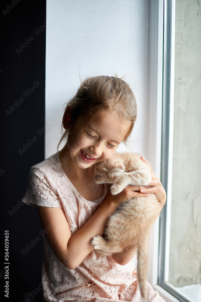 Child girl plays with a British little playful kitten at home windowsil Child girl plays with a British little playful kitten at home windowsil